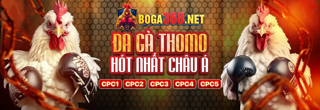 Đá gà trực tuyến fv99 login